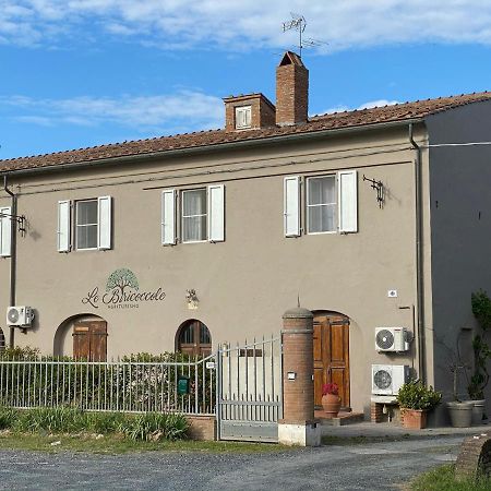 Agriturismo Le Biricoccole Вада Экстерьер фото