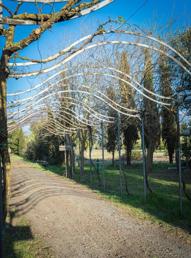 Agriturismo Le Biricoccole Вада Экстерьер фото