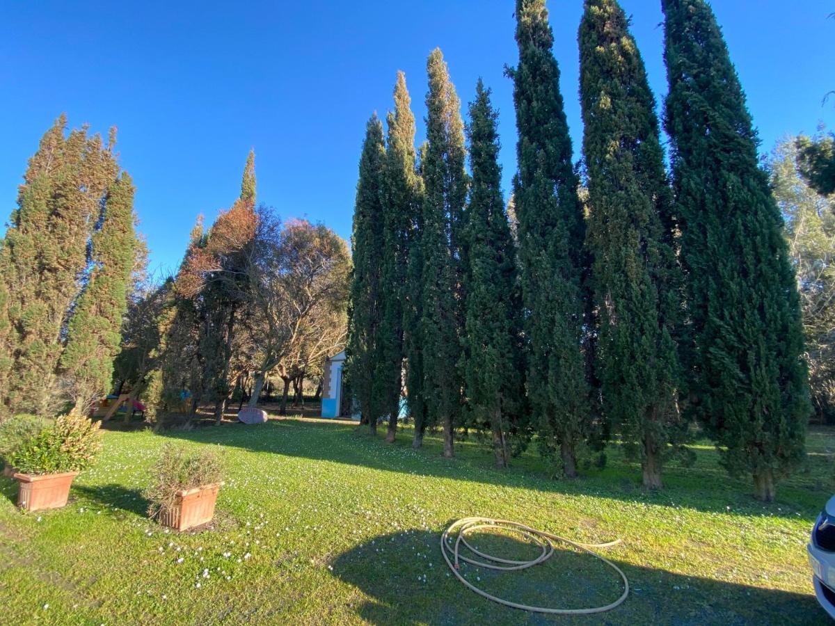 Agriturismo Le Biricoccole Вада Экстерьер фото