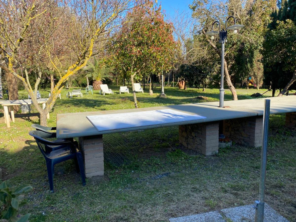Agriturismo Le Biricoccole Вада Экстерьер фото