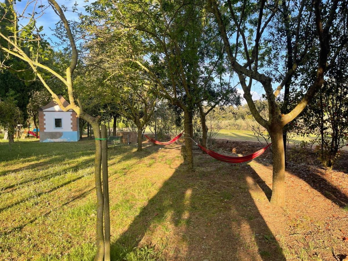 Agriturismo Le Biricoccole Вада Экстерьер фото