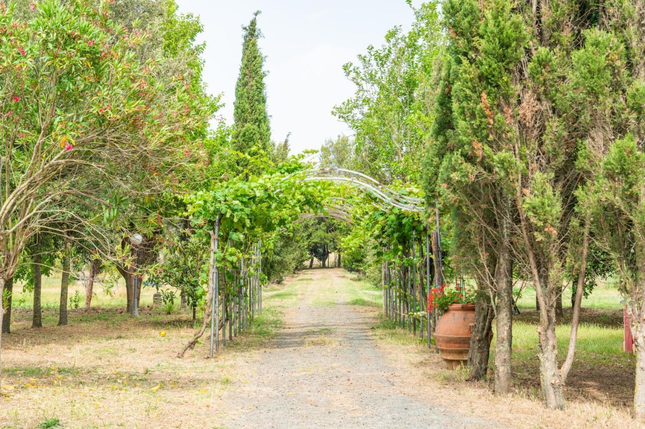 Agriturismo Le Biricoccole Вада Экстерьер фото