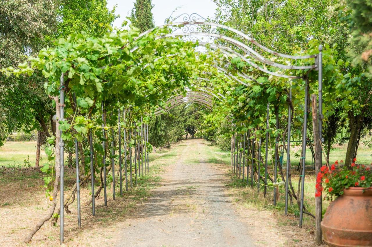 Agriturismo Le Biricoccole Вада Экстерьер фото