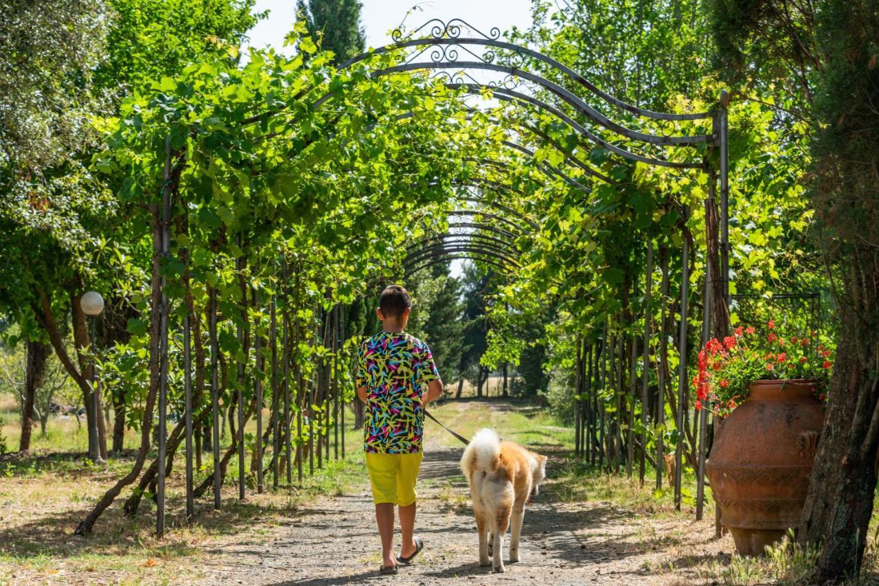 Agriturismo Le Biricoccole Вада Экстерьер фото