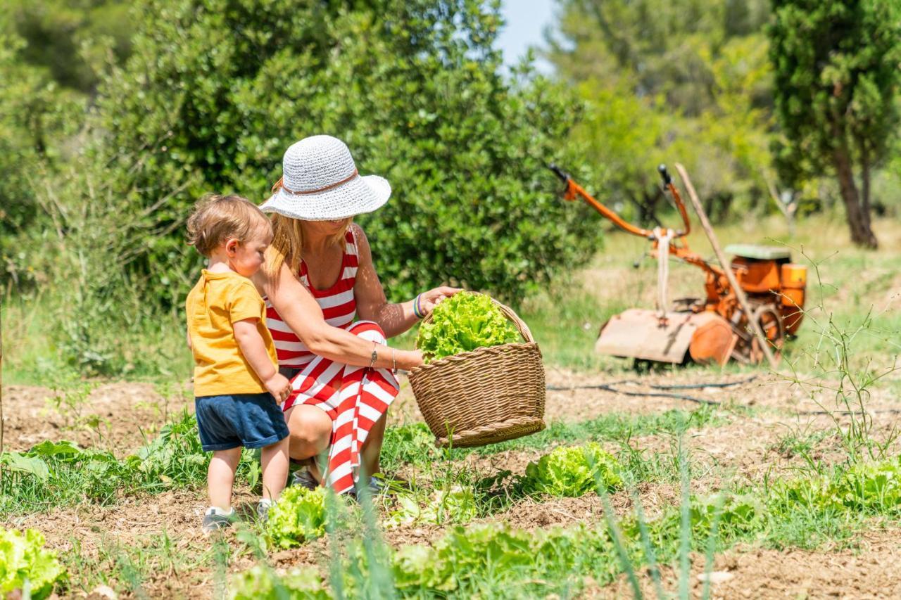 Agriturismo Le Biricoccole Вада Экстерьер фото